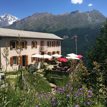 Edelweiss Mountain Guest House - 1 Hour Hike Up From Zermatt Station - On Hiking Trail - No Transport 外观 照片