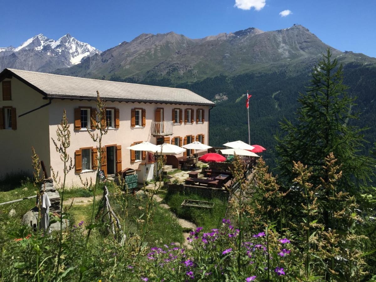 Edelweiss Mountain Guest House - 1 Hour Hike Up From Zermatt Station - On Hiking Trail - No Transport 外观 照片