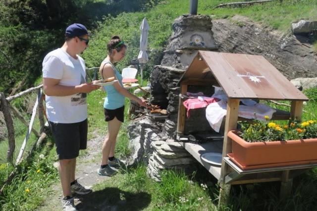 Edelweiss Mountain Guest House - 1 Hour Hike Up From Zermatt Station - On Hiking Trail - No Transport 外观 照片