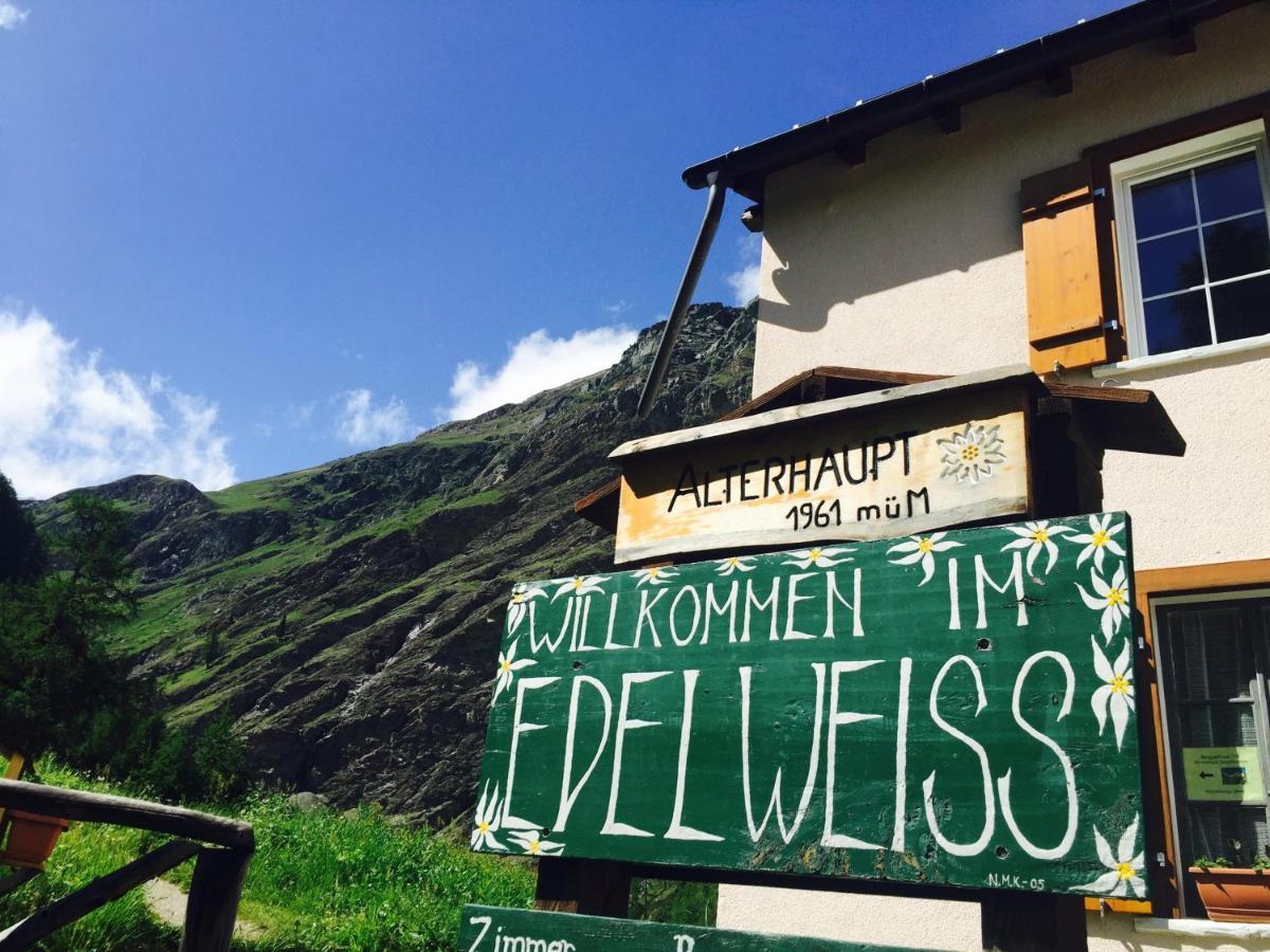 Edelweiss Mountain Guest House - 1 Hour Hike Up From Zermatt Station - On Hiking Trail - No Transport 外观 照片